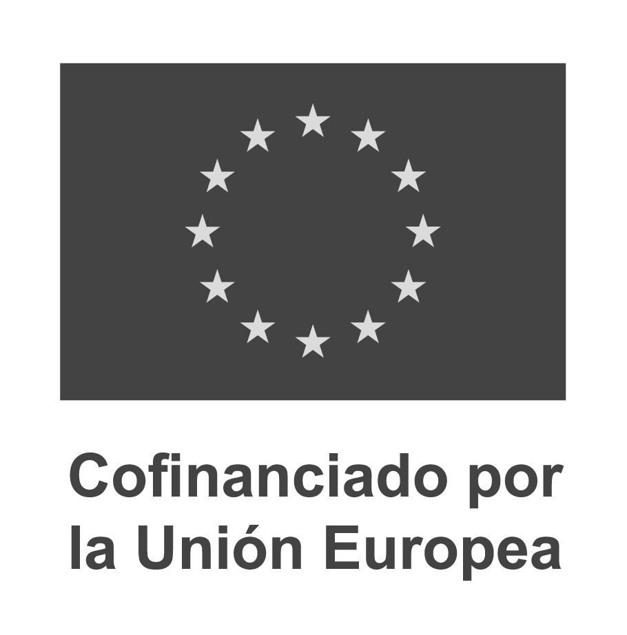 ES_V_Cofinanciado_Union_Europea-modified